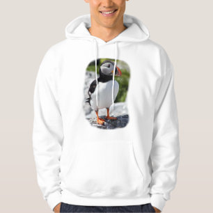 Alaska Puffins Feathered Colorful Birds Hoodie
