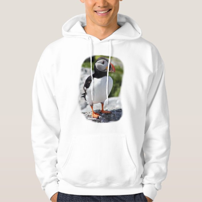 Alaska Puffins Feathered Colorful Birds Hoodie (Front)
