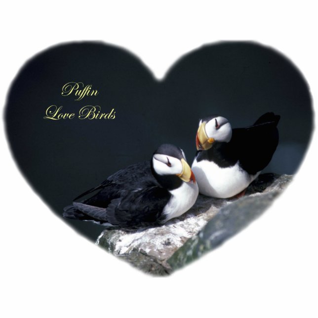 Alaska Puffins Feathered Colorful Birds Statuette (Front)