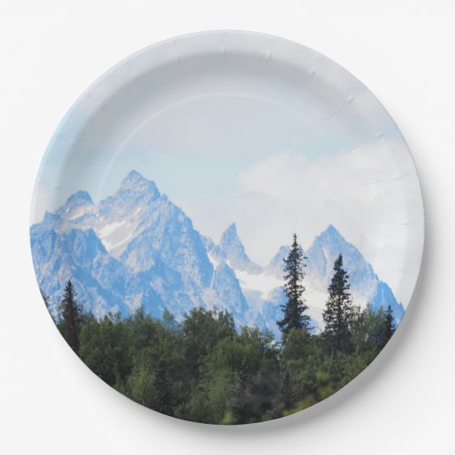Alaska Range Mountain Landscape Photo Paper Plates