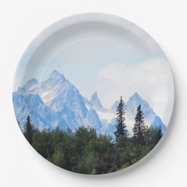 Alaska Range Mountain Landscape Photo Paper Plates (Front)