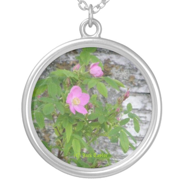 Alaska Rose #12 Silver Plated Necklace (Front)