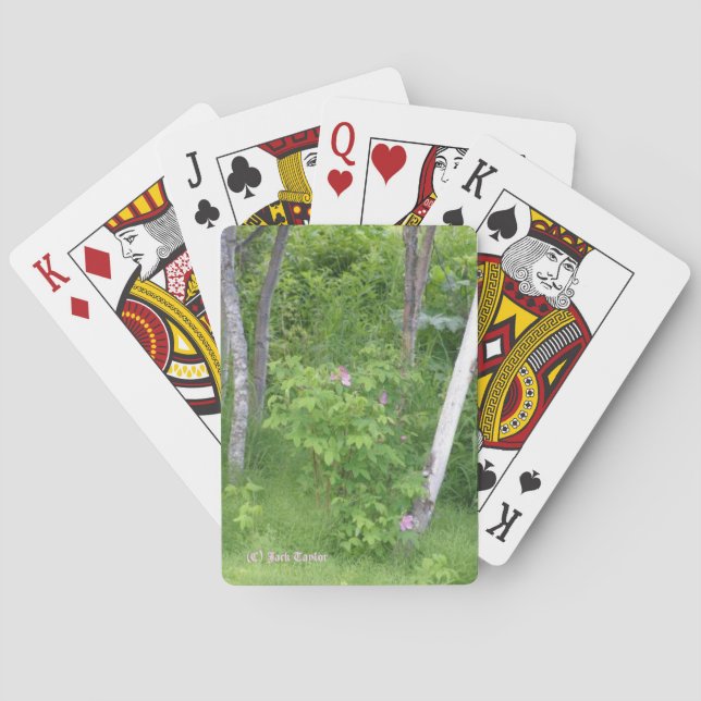 Alaska Rose #16 Poker Cards (Back)