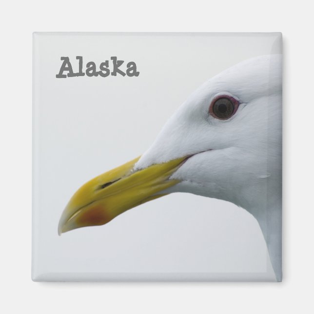 Alaska Seagull Magnet (Front)