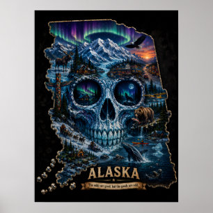 Alaska Skull Illusion   Astigmatism STATE of Mind Poster