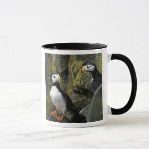 Alaska, St. Paul Island, the Pribilofs, horned Mug