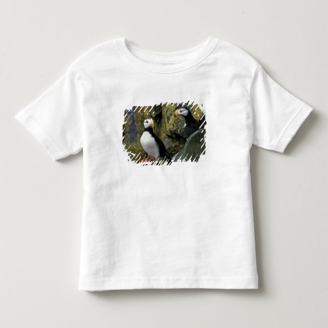 Alaska, St. Paul Island, the Pribilofs, horned Toddler T-shirt (Front)