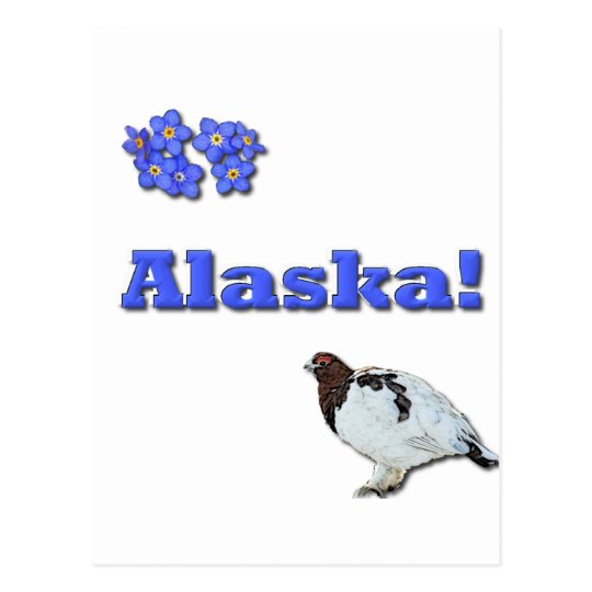 Alaska State Postcard