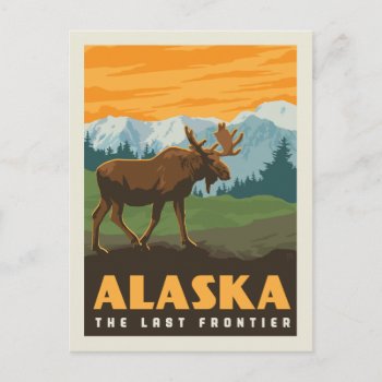 Alaska | The Last Frontier - Moose Postcard by AndersonDesignGroup at Zazzle