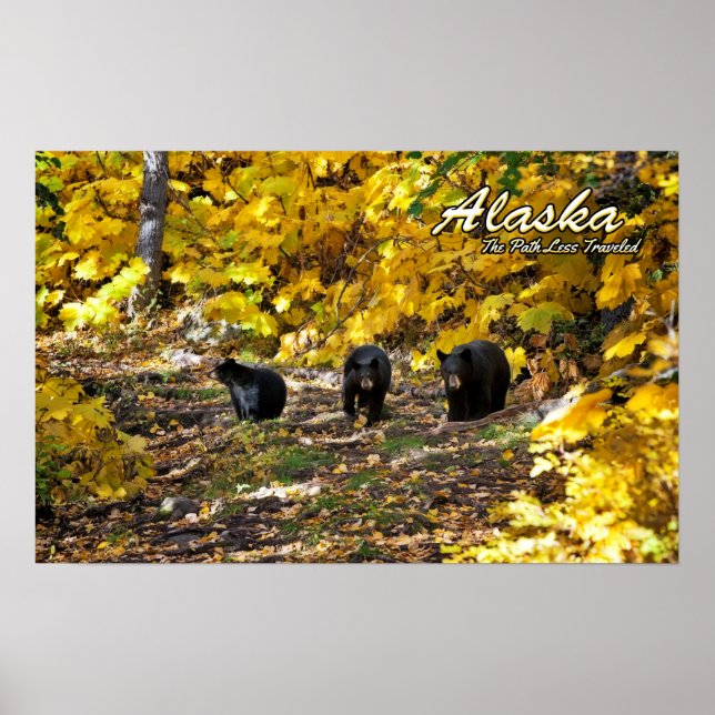 Alaska The Path Less Traveled Poster (Front)