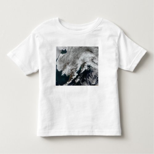 Alaska Toddler T_shirt