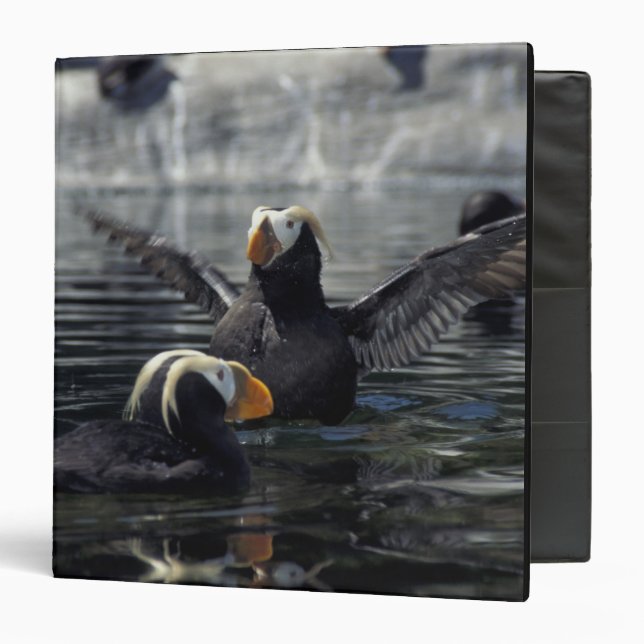 Alaska Tufted puffins Binder (Front/Inside)