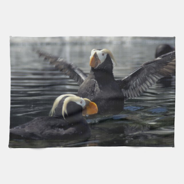 Alaska Tufted puffins Kitchen Towel (Horizontal)