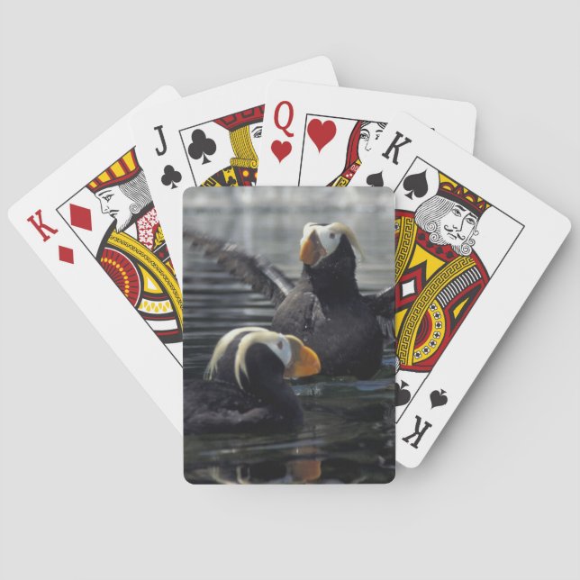 Alaska Tufted puffins Poker Cards (Back)