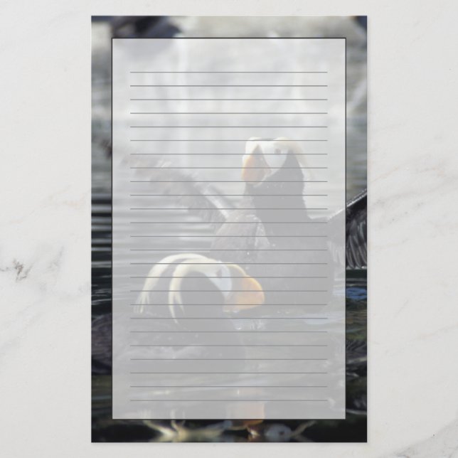 Alaska Tufted puffins Stationery (Front)