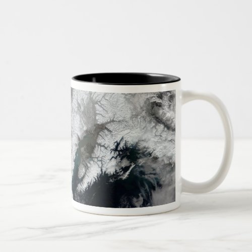 Alaska Two_Tone Coffee Mug