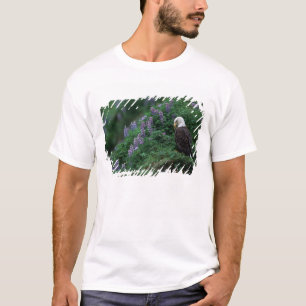 Alaska, Unalaska Island Bald Eagle among Nootka T-Shirt