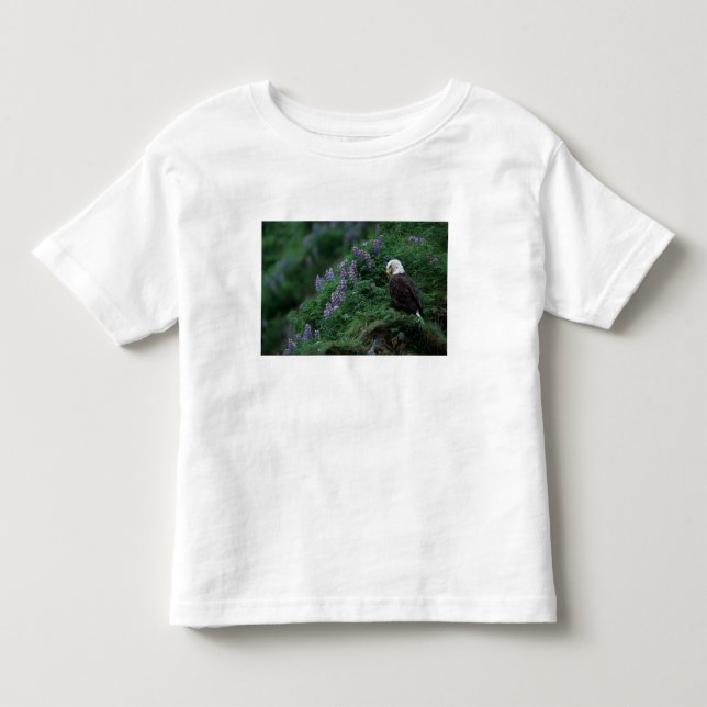 Alaska, Unalaska Island Bald Eagle among Nootka Toddler T-shirt (Front)