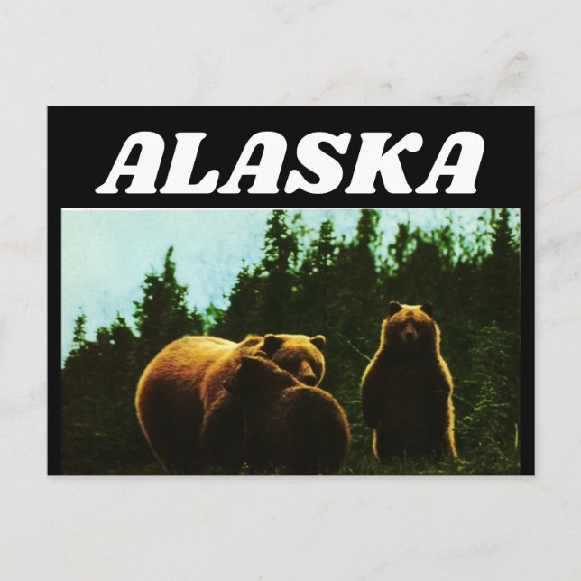 ALASKA VINTAGE GRIZZLY BEAR POSTCARD (Front)