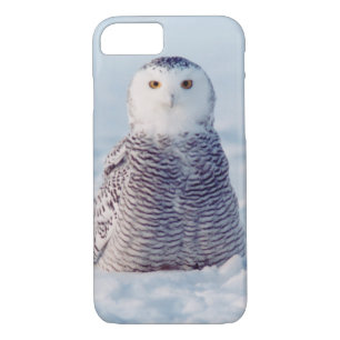 Alaska Wildlife Arctic Snowy Owl Case