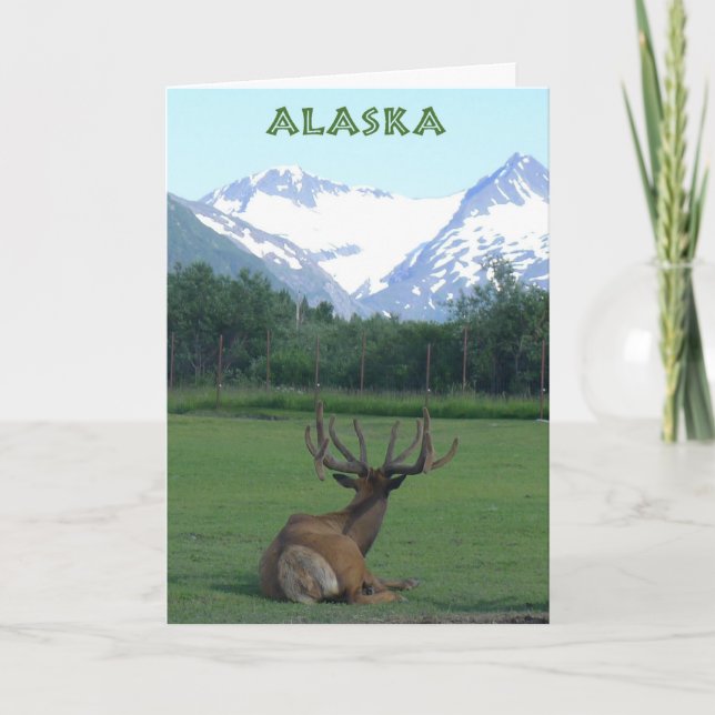 Alaska Wildlife Conservation Center - card (Front)