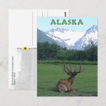 Alaska Wildlife Conservation Center - 