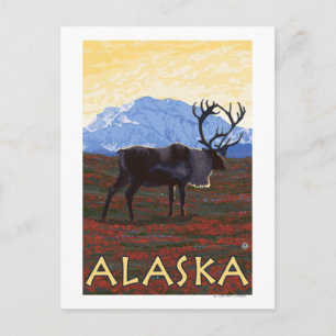 AlaskaCaribou Vintage Travel Poster Postcard