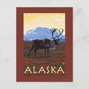 AlaskaCaribou Vintage Travel Poster Postcard
