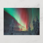 Alaskan Aurora Borealis Postcard at Zazzle