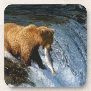Alaskan Brown Bear Catching Salmon at Brooks Drink Coaster