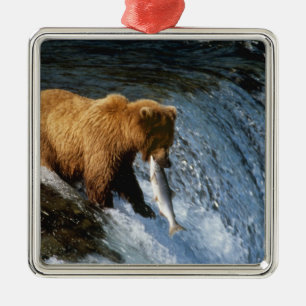 Alaskan Brown Bear Catching Salmon at Brooks Metal Ornament