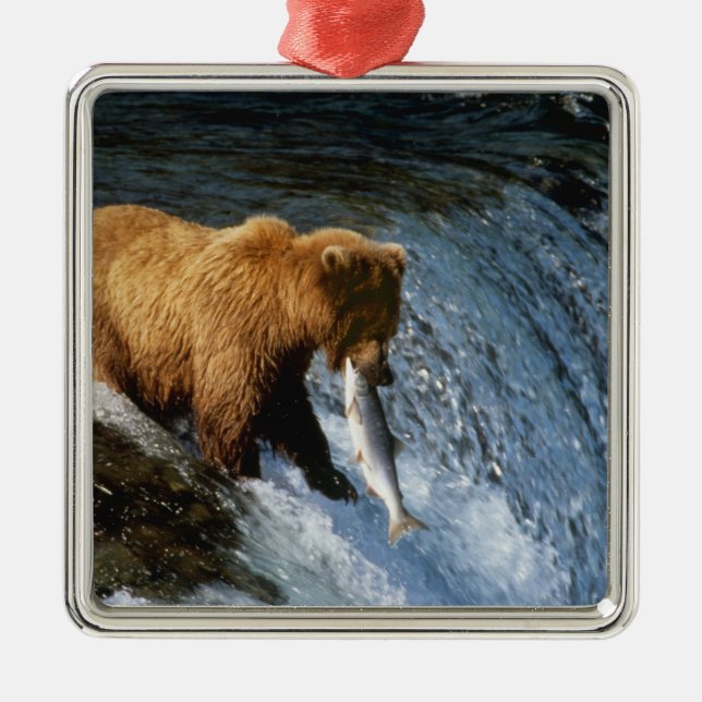 Alaskan Brown Bear Catching Salmon at Brooks Metal Ornament (Front)