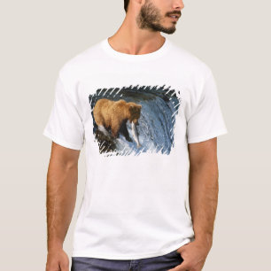 Alaskan Brown Bear Catching Salmon at Brooks T-Shirt