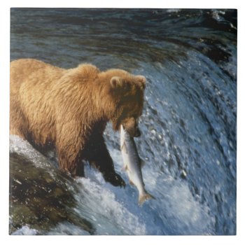 Alaskan Brown Bear Catching Salmon At Brooks Tile by theworldofanimals at Zazzle