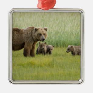 Alaskan Brown Bear Sow and three Cubs, Ursus Metal Ornament