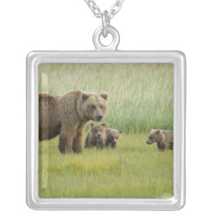 Alaskan Brown Bear Sow and three Cubs, Ursus Silver Plated Necklace