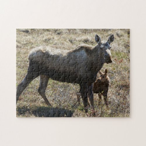 Alaskan Cow Moose with Calf Jigsaw Puzzle