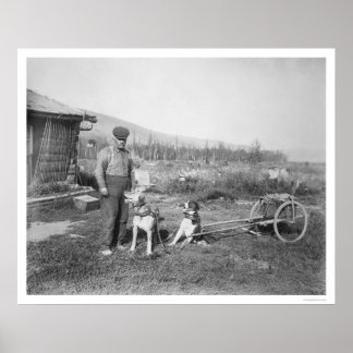 Alaskan Dog Cart Transport 1916 Poster