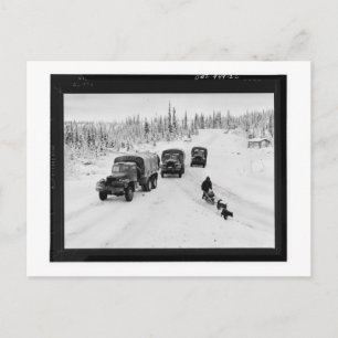 Alaskan Dogsled & Army Trucks Postcard
