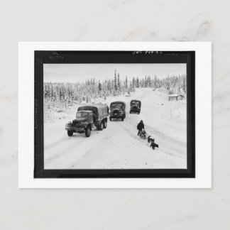 Alaskan Dogsled & Army Trucks Postcard