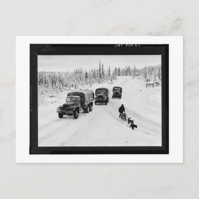 Alaskan Dogsled & Army Trucks Postcard (Front)