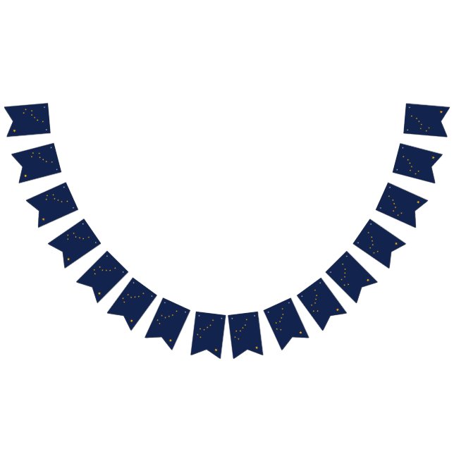 Alaskan flag, American state flag banner (All)