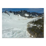 Alaskan Glacier Scenic Travel Landscape