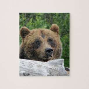 Alaskan Grizzly Bear, The Kodiak Jigsaw Puzzle