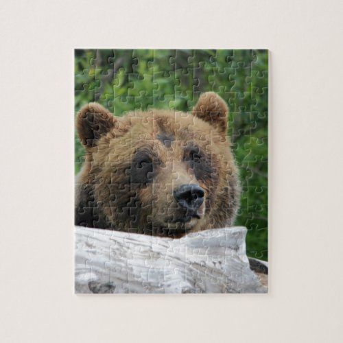 Alaskan Grizzly Bear The Kodiak Jigsaw Puzzle