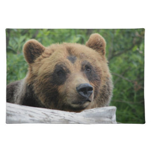 Alaskan Grizzly Bear, The Kodiak Placemat