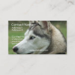 Alaskan Husky Business Card