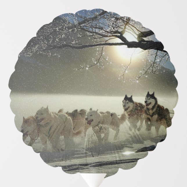 Alaskan Husky Dog Sled Race Balloon (Front)