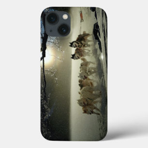 Alaskan Husky Dog Sled Race iPhone 13 Case