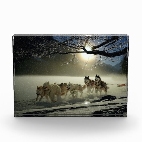 Alaskan Husky Dog Sled Race Photo Block